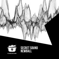 Artwork for Secret Sounds by Newball