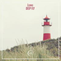 Artwork for Deep Fly by Ledako