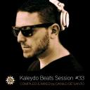 Artwork for Surveyor (Stelmarya Remix)