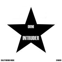 Artwork for Intruder by ОРНИ