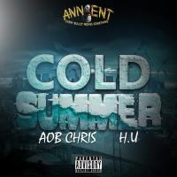 Artwork for Cold Summer (feat. H.U) by AOB Chris