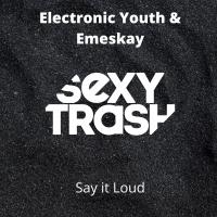 Artwork for Say It Loud by Electronic Youth