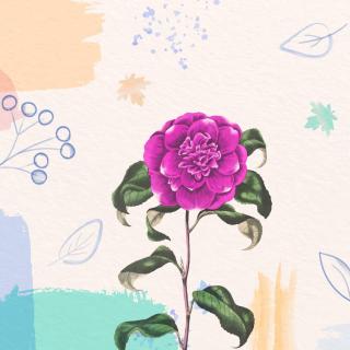 Artwork for Camellia's Just A Flower 