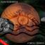 Artwork for Fobos (Original Mix)