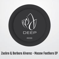 Artwork for Macaw Feathers EP by Zuckre