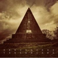 Artwork for Xenoglossy: The Remixes by Machinista