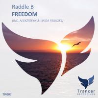 Artwork for Freedom by Raddle B