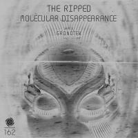 Artwork for Molecular Disappearance by The Ripped