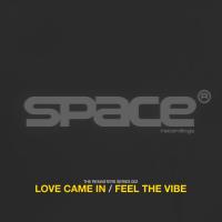 Artwork for Love Came In / Feel The Vibe by Sonic