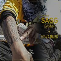 Artwork for We All We Got (feat. Sean2miles & Twiin614) by Young Sagg