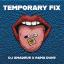 Artwork for Temporary Fix (Extended Mix)