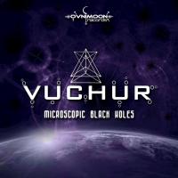 Artwork for Microscopic Black Holes by Vuchur