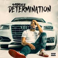 Artwork for Determination by Spodee