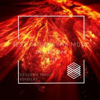 Artwork for Best of Deugene Music Big Room 2017 by Various Artists