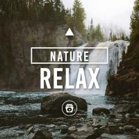 Artwork for Nature Relax by Rain For Deep Sleep