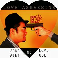 Artwork for Ain't No Love (Ain't No Use) by Love Assassins