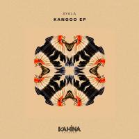 Artwork for Kangoo EP by Ayala (IT)