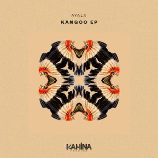 Artwork for Kangoo (Dub Mix)