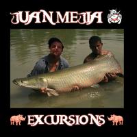 Artwork for Excursions by Juan Mejia