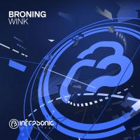 Artwork for Wink by Broning