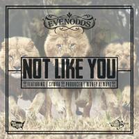 Artwork for Not Like You (feat. Symba) by Evenodds