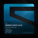 Artwork for Magnificence (Saracen Remix)