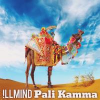 Artwork for Pali Kamma by !llmind