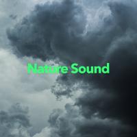 Artwork for Nature Sound by Rain Sounds