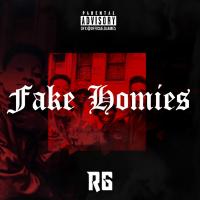 Artwork for Fake Homies by RG