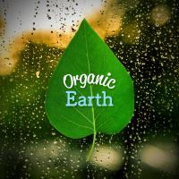 Artwork for Organic Earth by Nature Sounds Nature Music