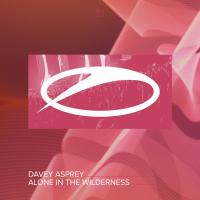 Artwork for Alone In The Wilderness by Davey Asprey
