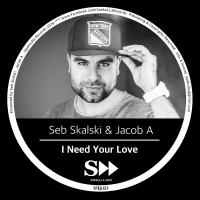 Artwork for I Need Your Love by Seb Skalski