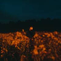 Artwork for New York by Benjamin Francis Leftwich