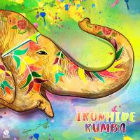 Artwork for Rumba by Ironhide