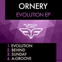 Artwork for Evolution by Ornery