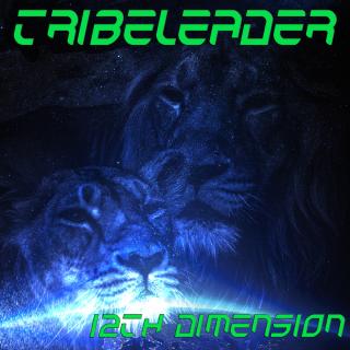 Artwork for 12TH DIMENSION