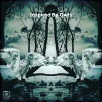 Artwork for Inspired By Owls by Jue