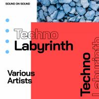 Artwork for Techno Labyrinth by Various Artists