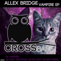 Artwork for Vampire EP by Allex Bridge