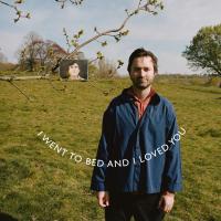 Artwork for I Went To Bed and I Loved You by Tom Rosenthal