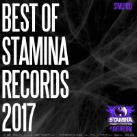 Artwork for Best Of Stamina Records 2017 by Various Artists