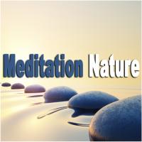 Artwork for Meditation Nature by Spa