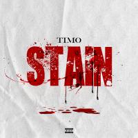 Artwork for Stain by Timo