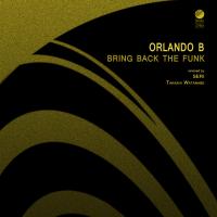 Artwork for Bring Back The Funk by Orlando B