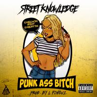 Artwork for Punk Ass Bitch by Street Knowledge