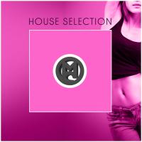 Artwork for House Selection by Various Artists