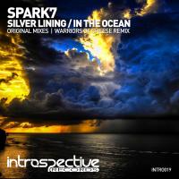 Artwork for Silver Lining / In The Ocean by Spark7