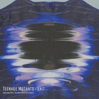 Artwork for Exit by Teenage Mutants