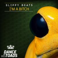 Artwork for I´m A Bitch by Slippy Beats