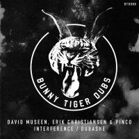 Artwork for Interference / Dubashe by David Museen